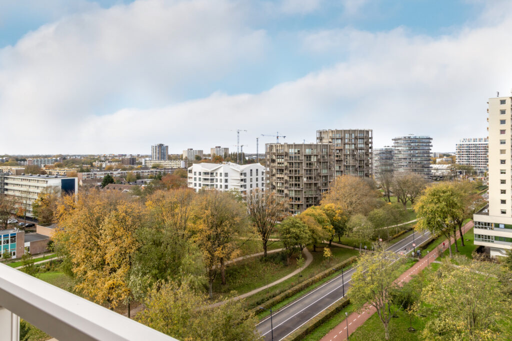 Cityscape with buildings, trees, and road on cloudy day.