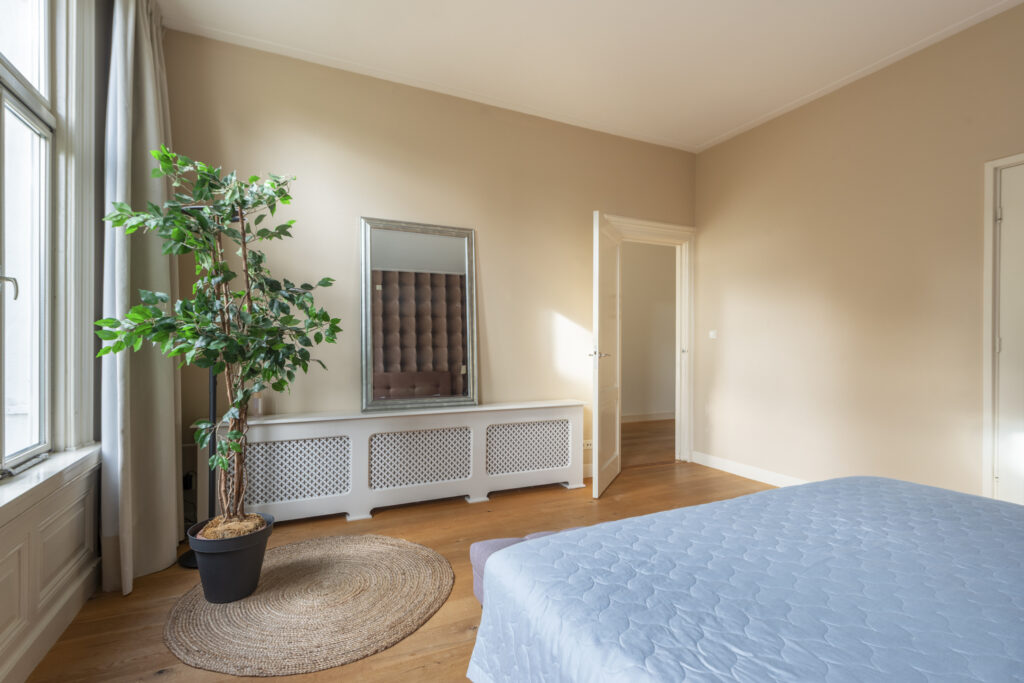 Minimalist bedroom with plant and mirror