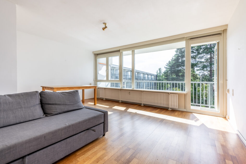 Bright living room with large windows and couch.