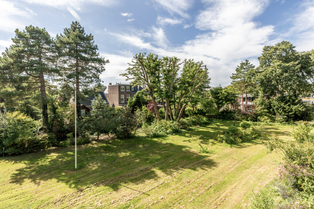 Sunny garden with trees and house view