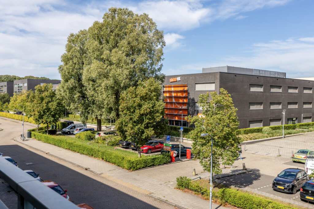 Urban landscape with trees and parked cars.