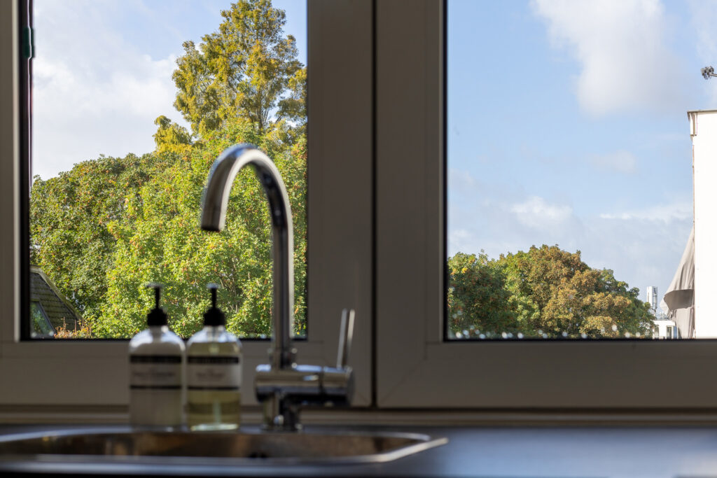 View of trees outside kitchen window with sink faucet.