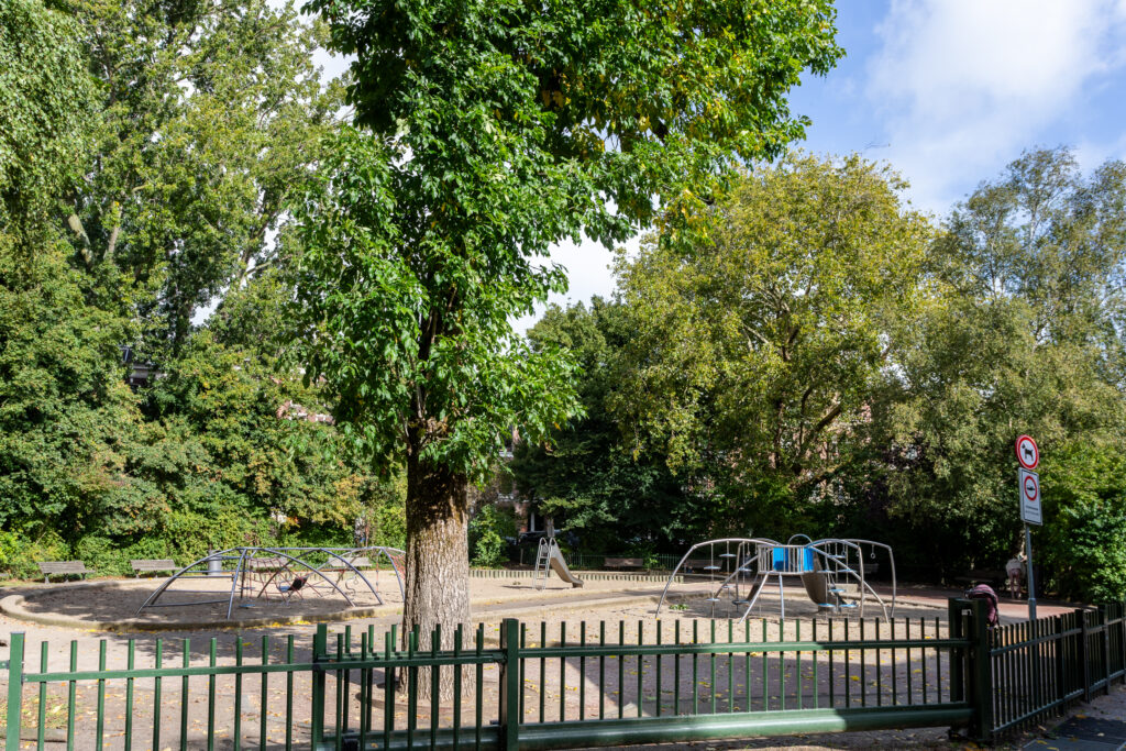 Empty playground surrounded by tall trees.