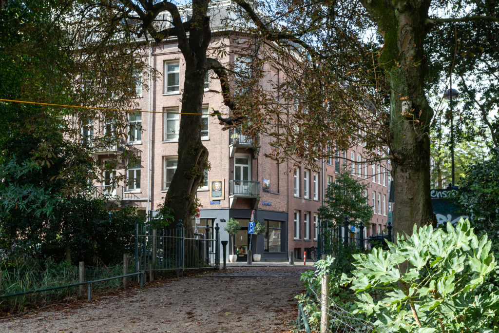 Pathway leading to urban building, surrounded by trees.