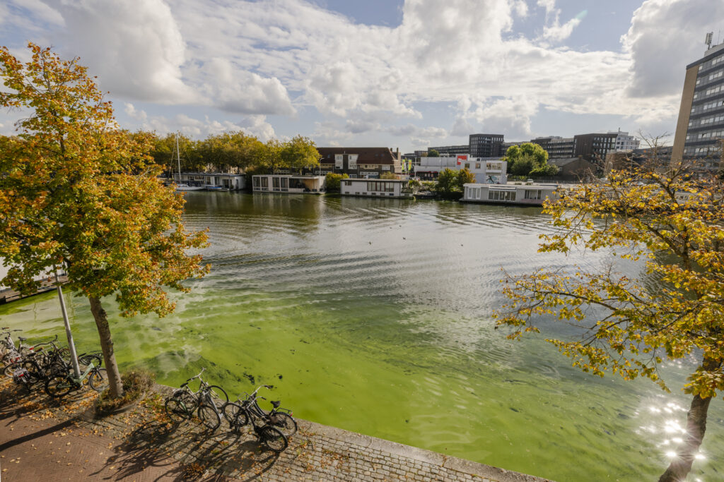 zuider buiten spaarne 158, haarlem – foto 38