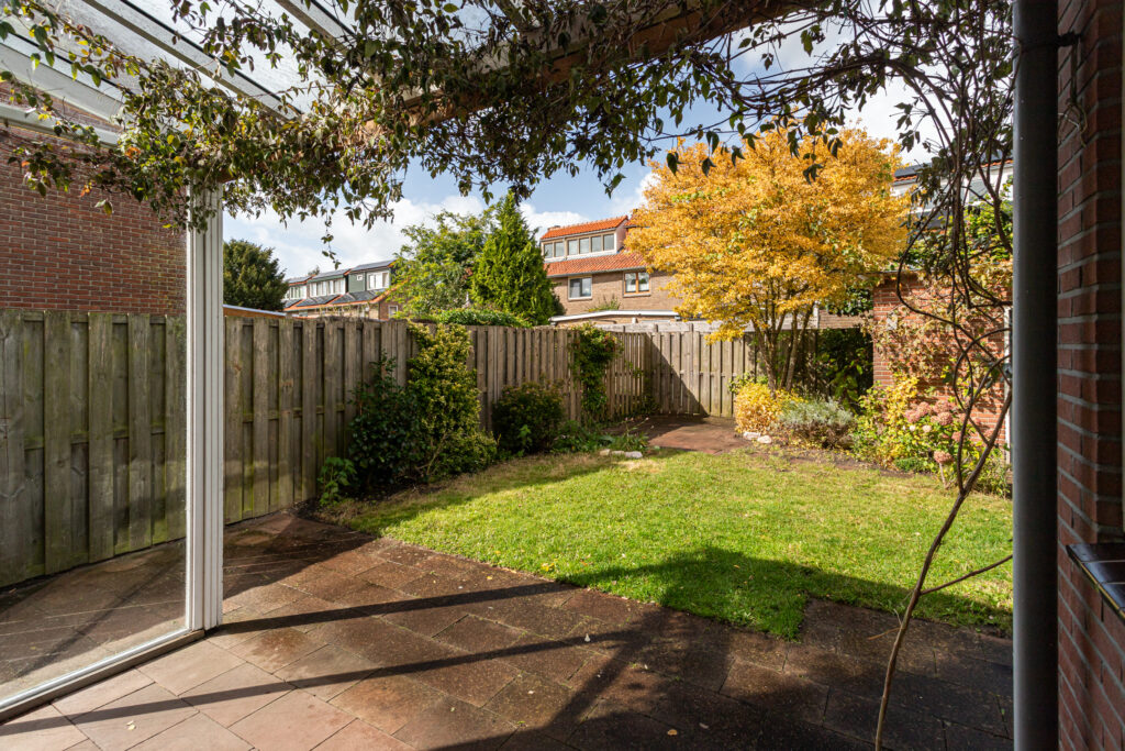 Sunny backyard with autumn foliage and patio.