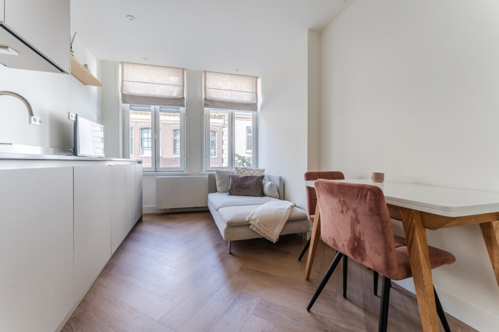 Modern, bright small apartment kitchen and living area.