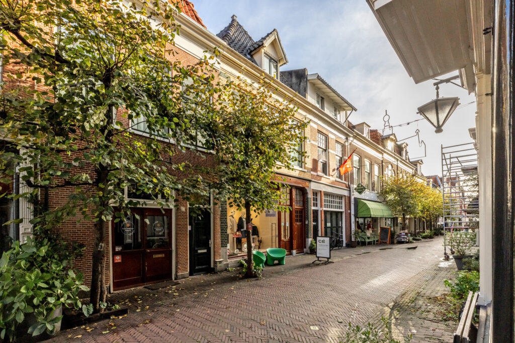 Charming European street with shops and trees