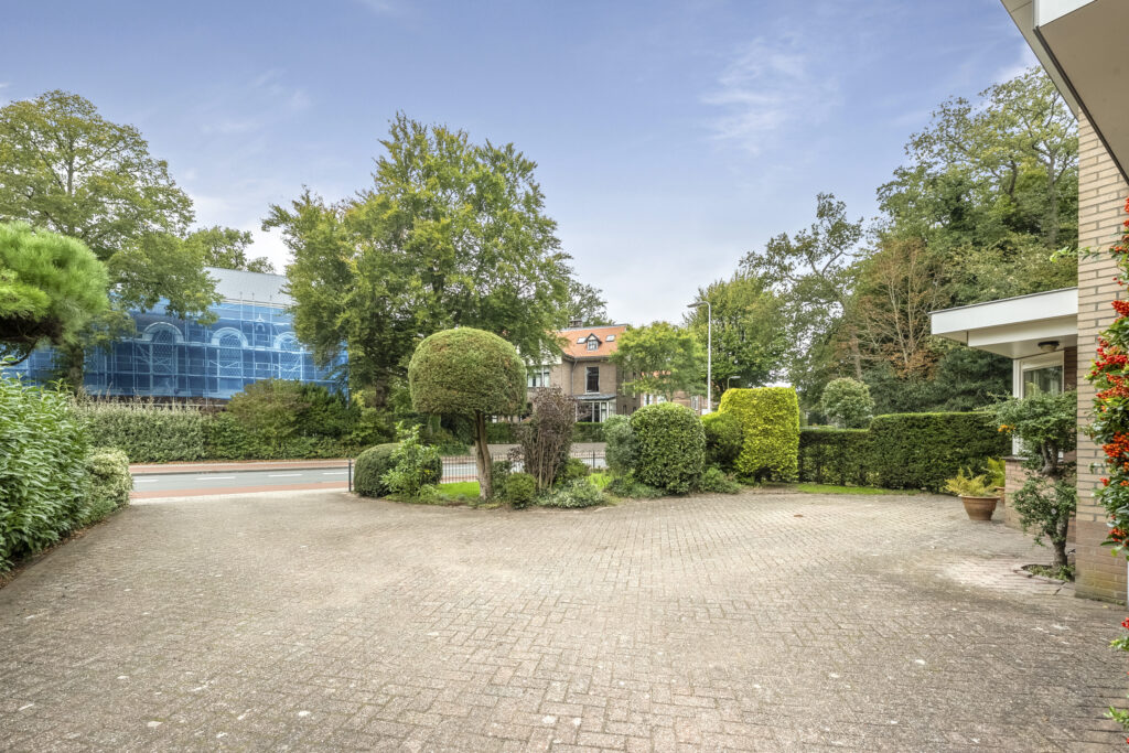 Paved driveway with trimmed hedges and trees.