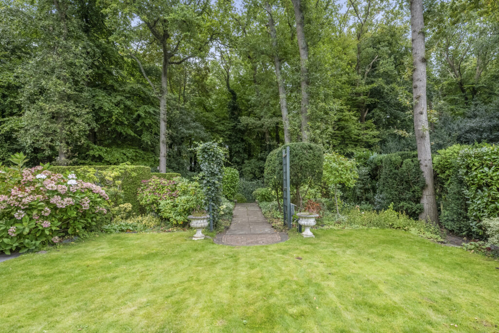Lush green garden with trees and pathway