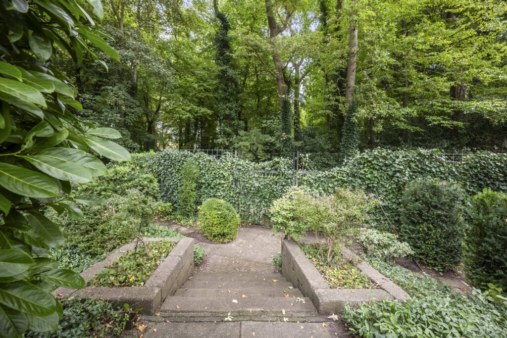 Stone stairs leading to lush green garden