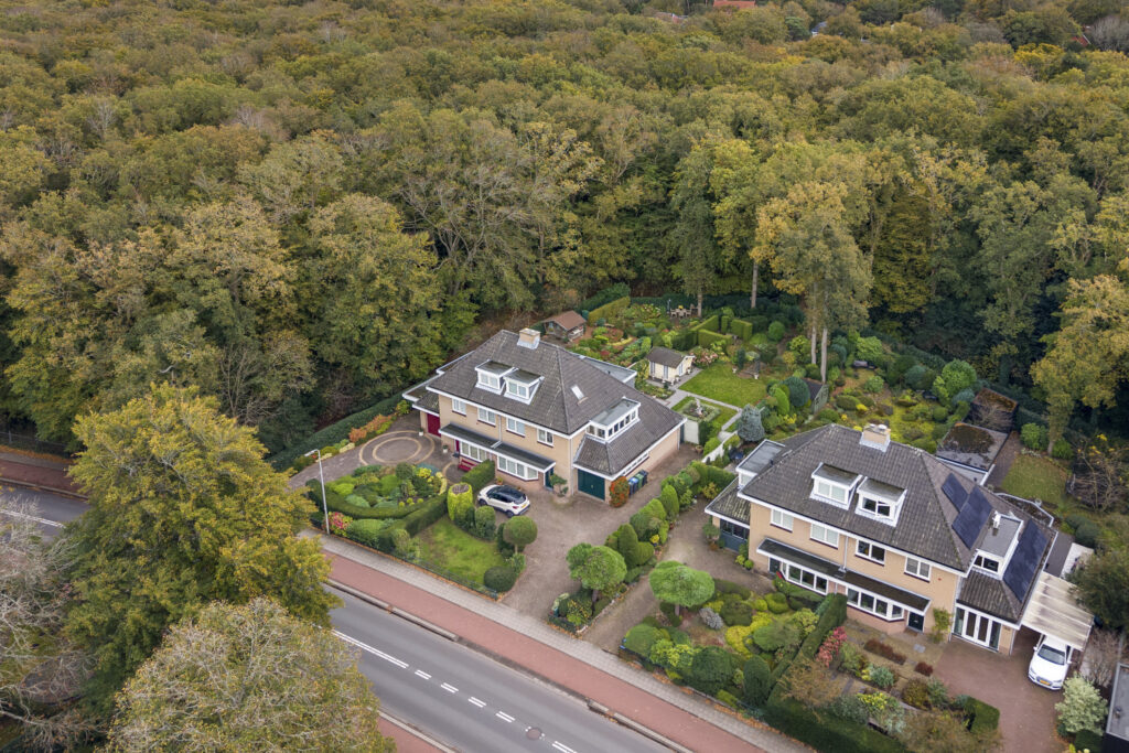Aerial view of houses next to a forest road.