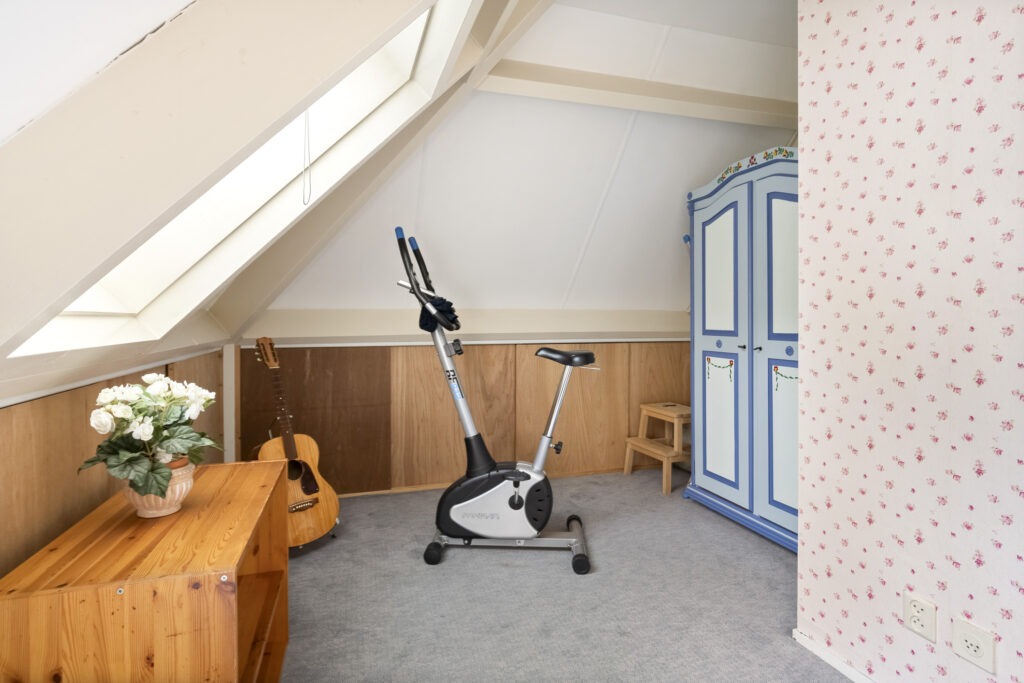 Attic with exercise bike, guitar, and skylight window.