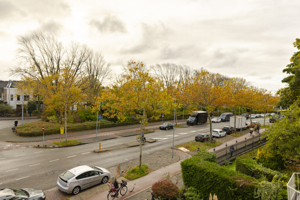 Autumn street scene with cars and bicycles.