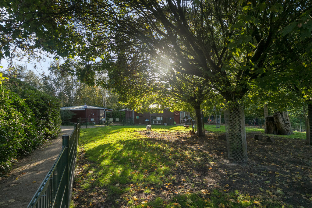 Sunny park with trees and animal enclosures.