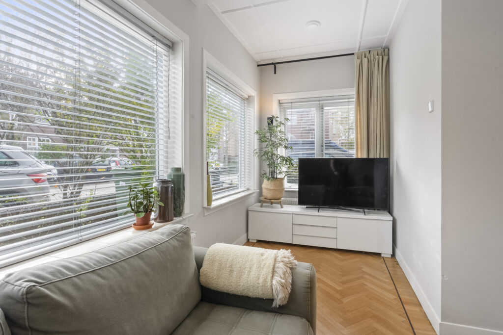 Cozy living room with a TV and plants.