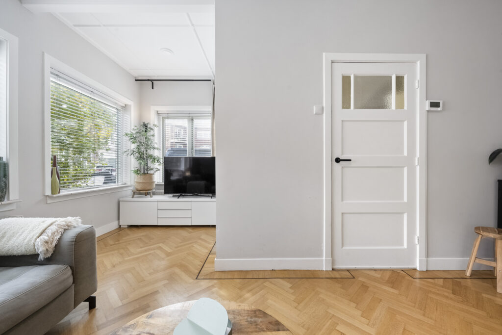 Modern living room with hardwood floor and white door.