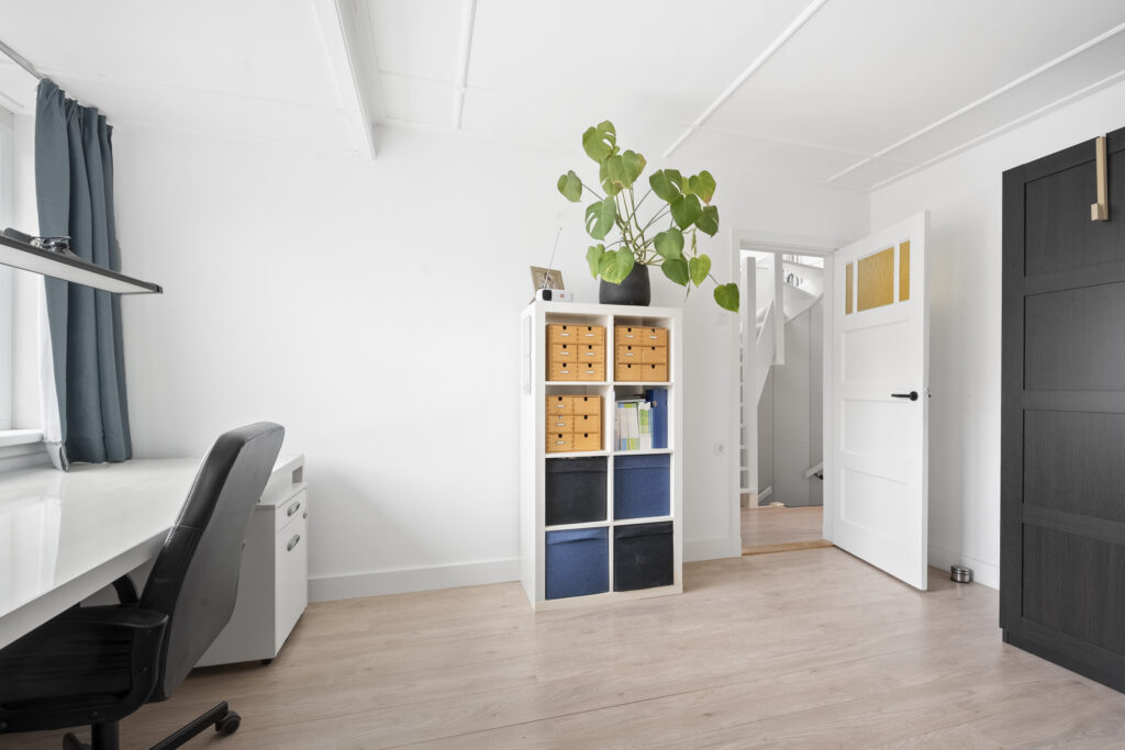 Minimalist office with desk, shelves, and plant.