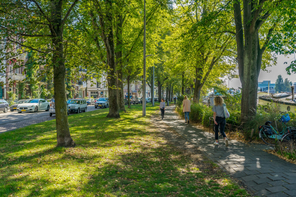 Tree-lined street with people walking.