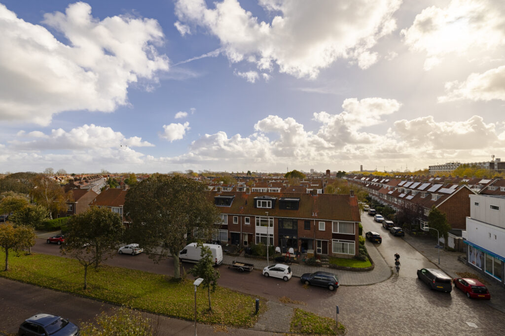 Sunny suburban street with cars and houses.