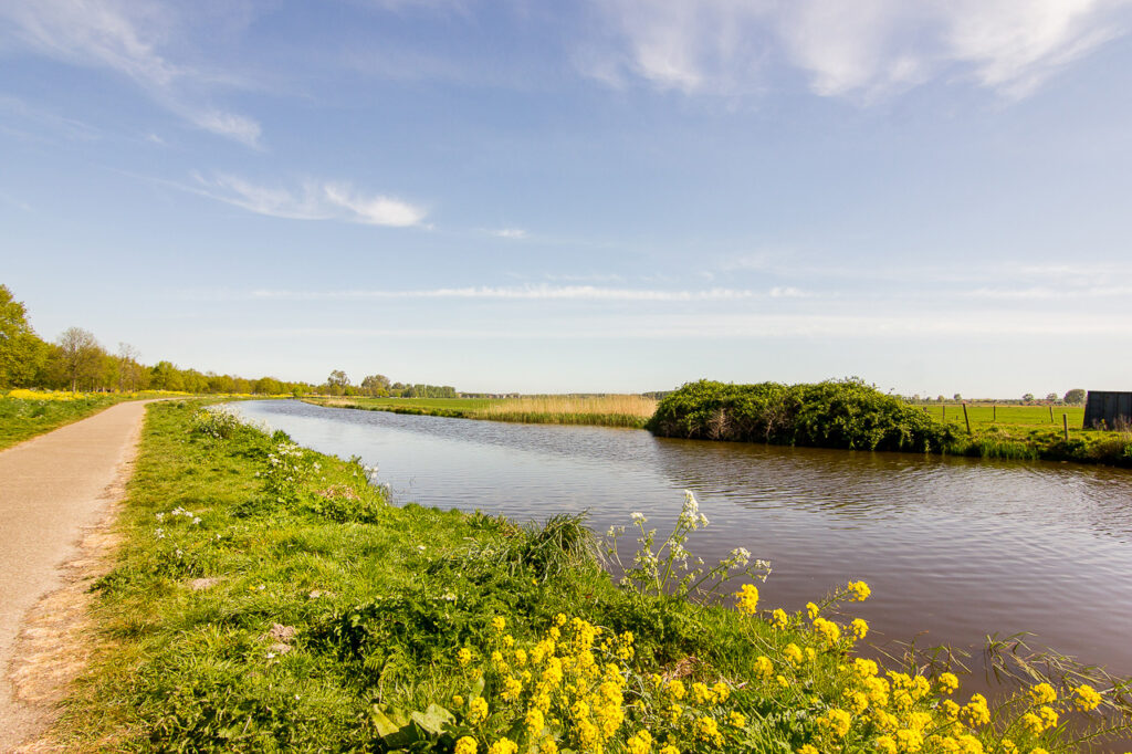 Country road beside tranquil canal under clear sky