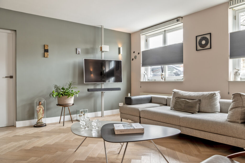 Modern living room with TV and gray sofa