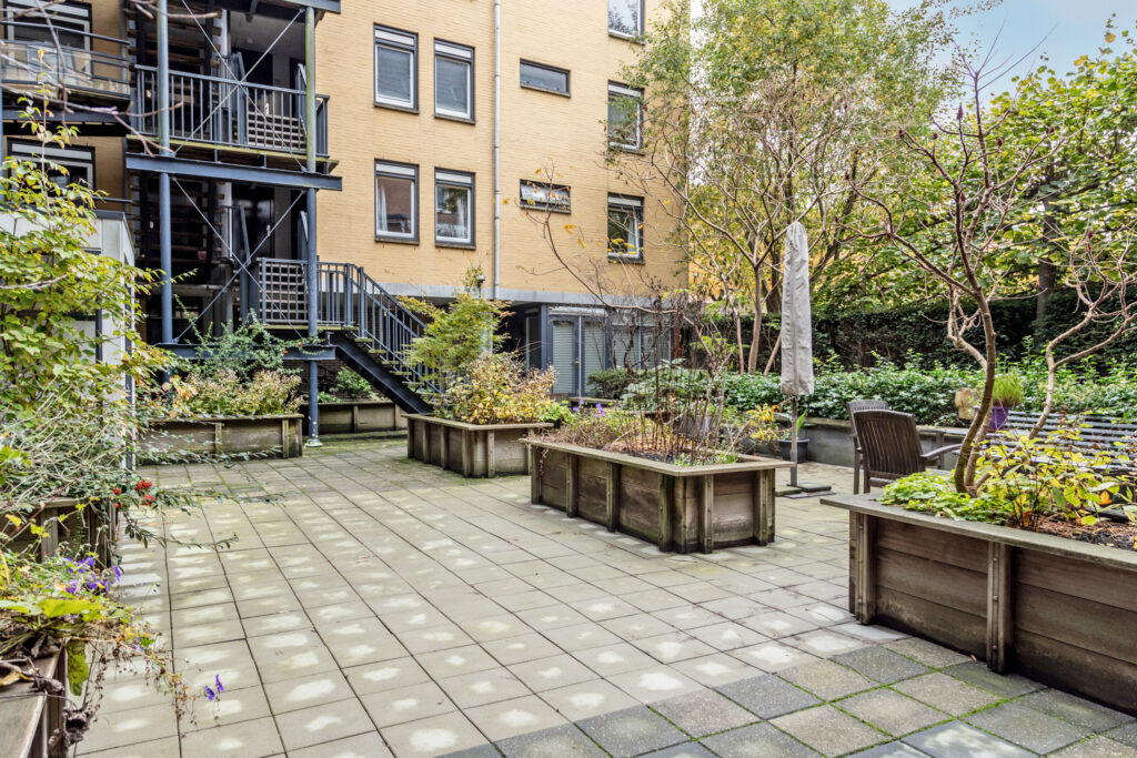 Urban courtyard garden with planters and stairs.