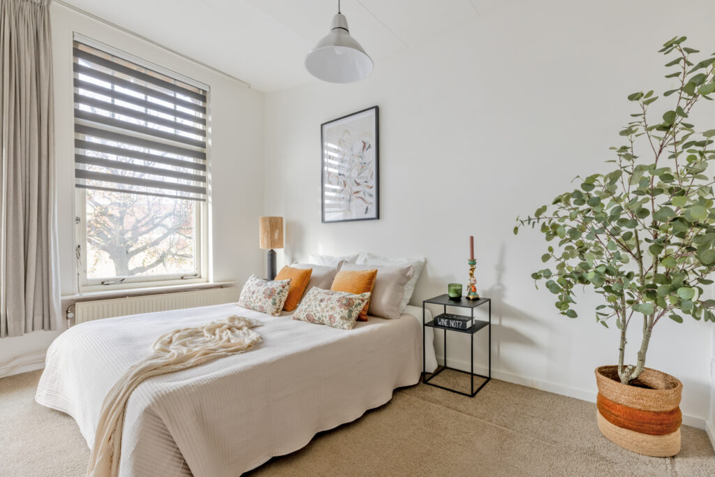 Cozy bedroom with modern decor and large plant