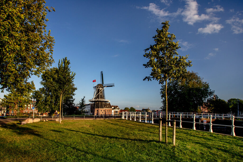Windmill under blue sky with trees, sunny day.