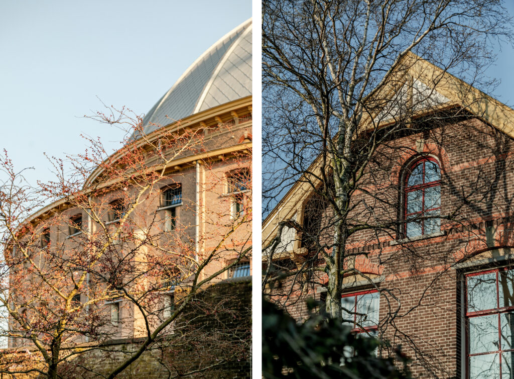 Historic brick buildings with trees in foreground.