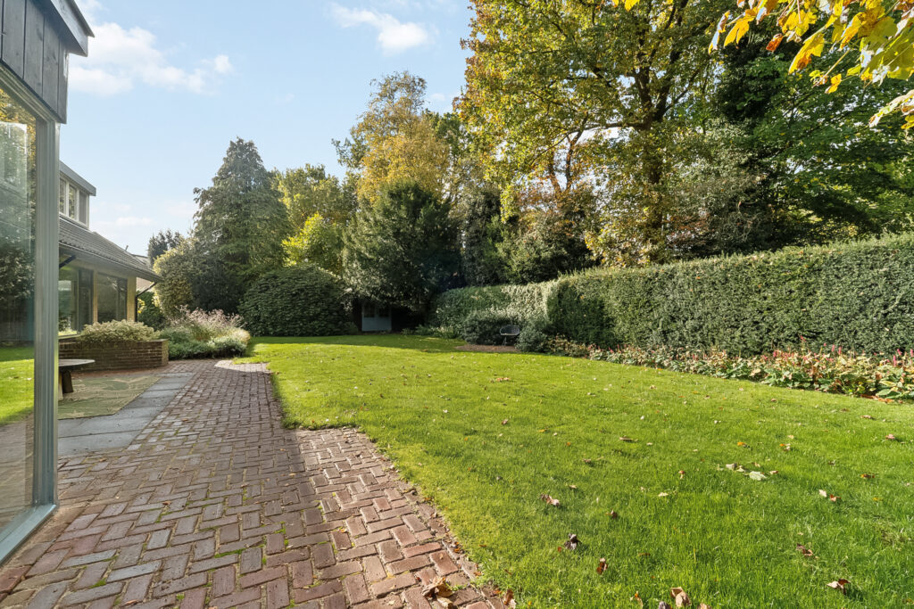 Sunny backyard with green lawn and hedges