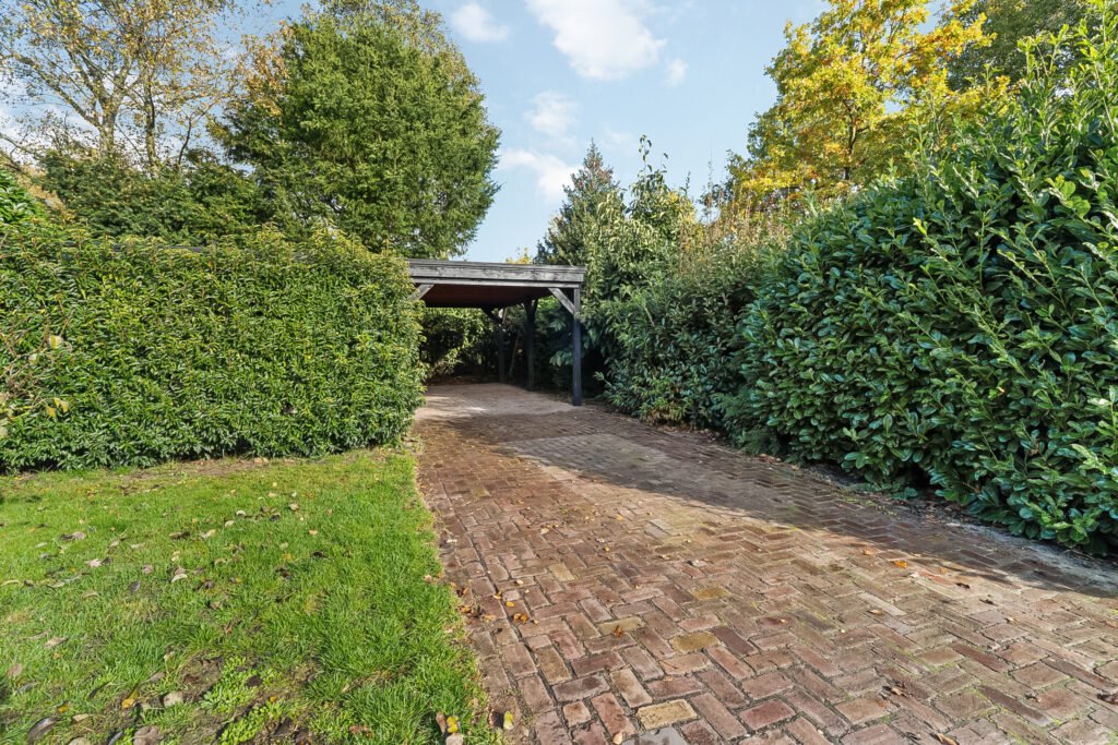 Brick driveway surrounded by lush green bushes