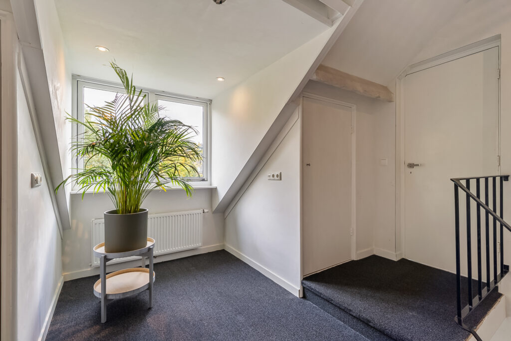 Bright hallway with potted plant and windowsill garden.