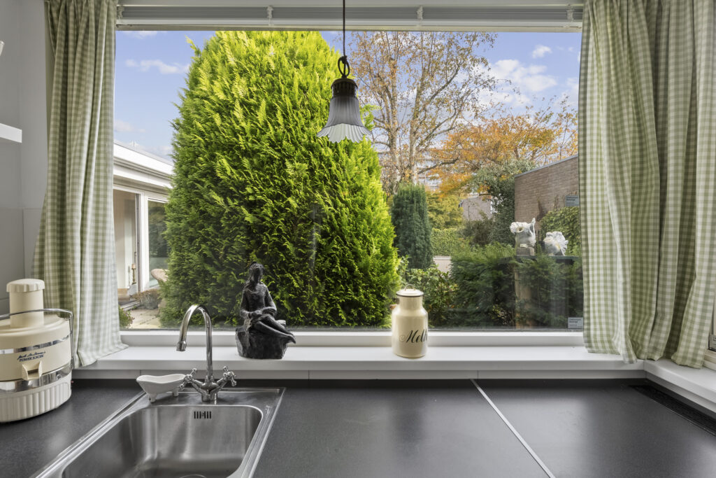 Kitchen window view of lush garden and trees.