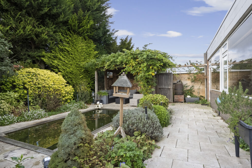 Peaceful garden with pond, greenery, and seating area.