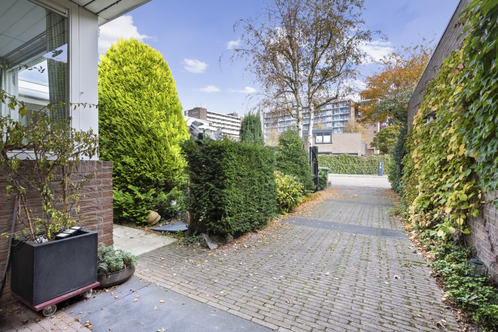 Leafy driveway with garden and distant buildings.