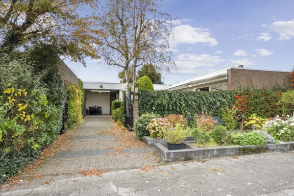 Modern house with garden and driveway