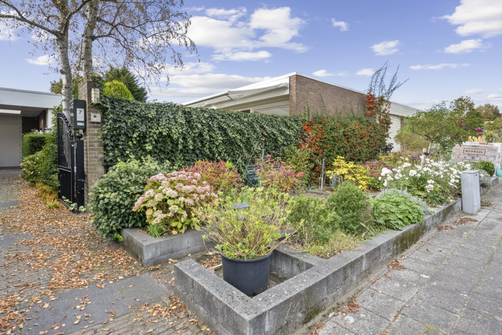 Lush garden with autumn foliage and flowers.