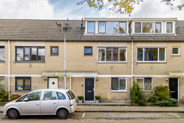 Suburban street with parked car and houses
