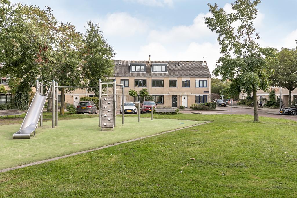 Playground slide and climbing wall in residential area.
