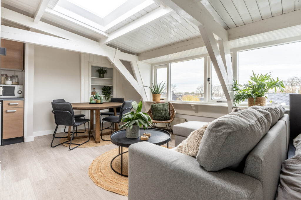 Bright attic living room with skylight and plants.