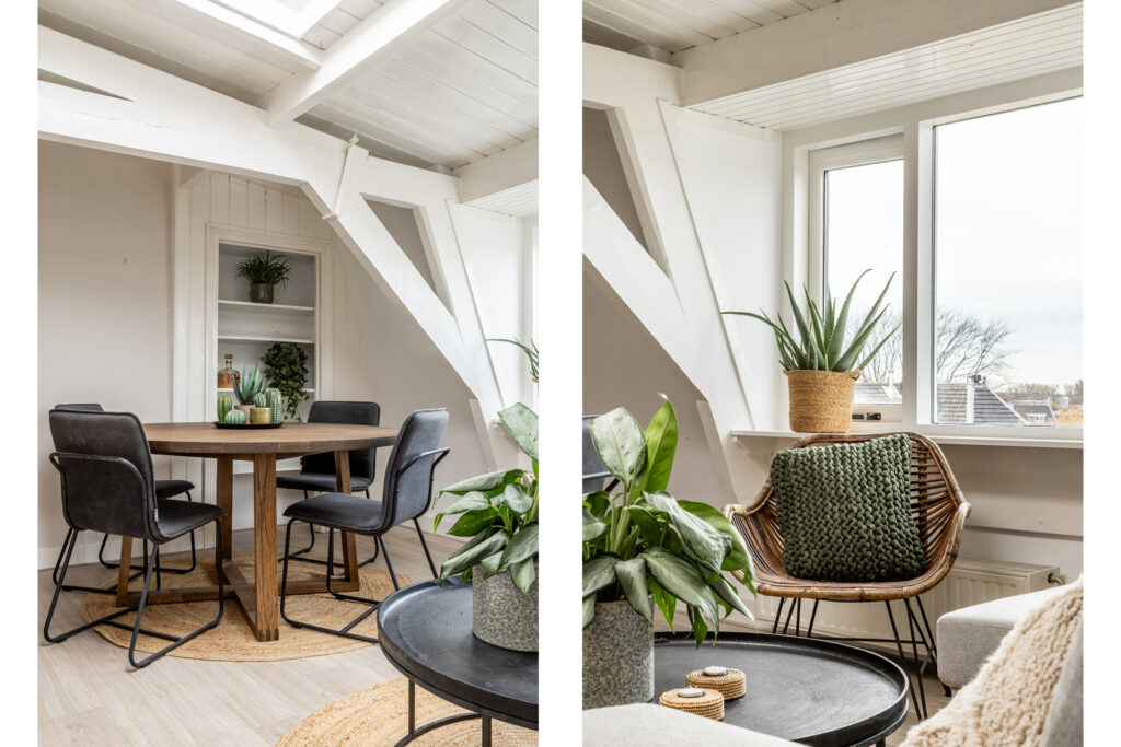 Cozy modern dining area with plants and sunlight.