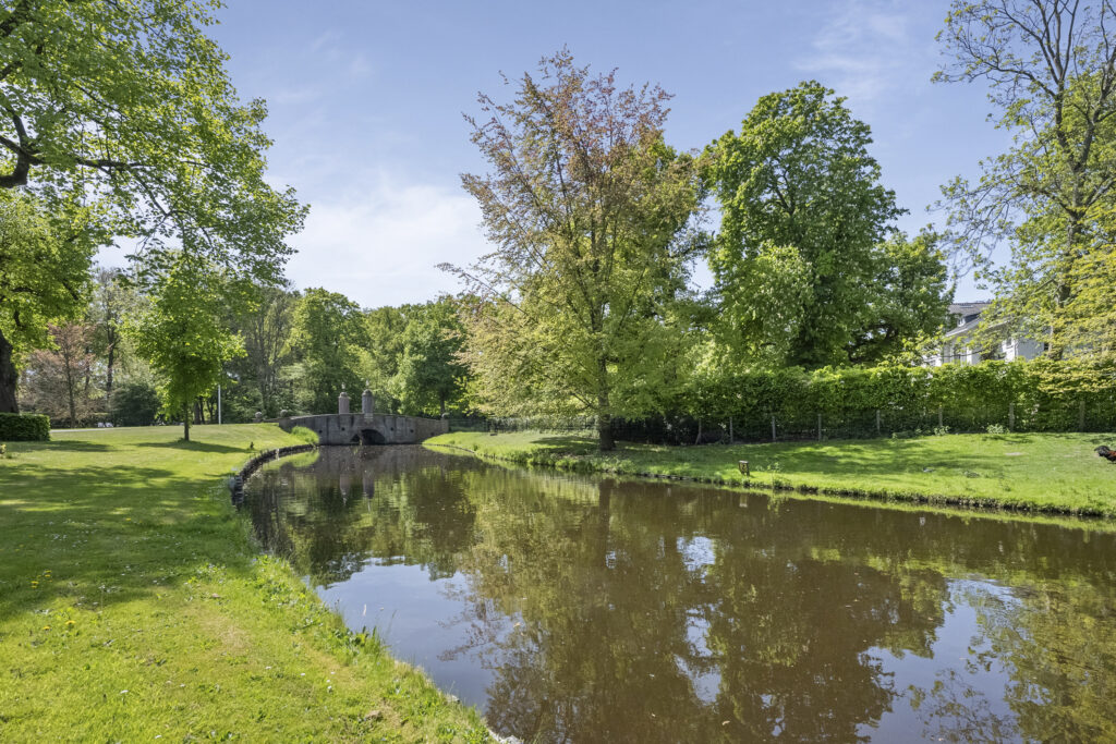 Serene park scene with a stone bridge.