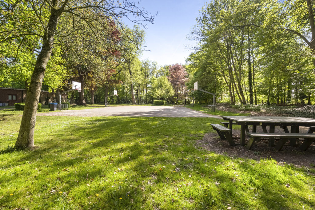 Outdoor basketball court surrounded by trees