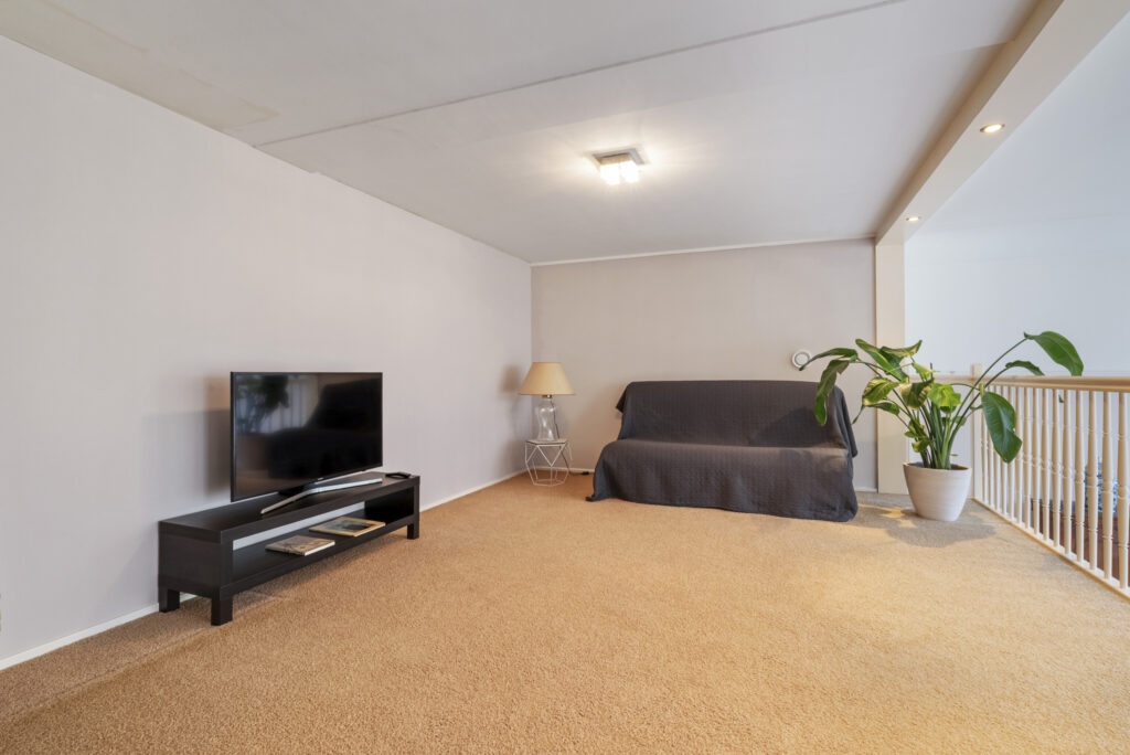 Cozy loft lounge with TV and plant