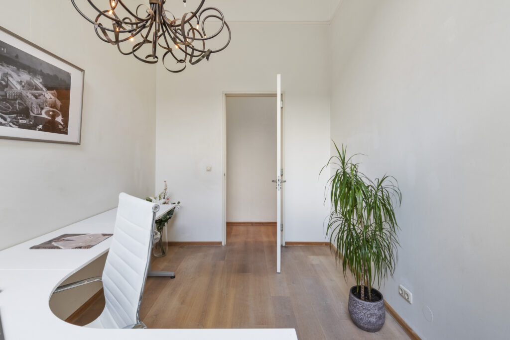 Minimalist office with white chair and plant