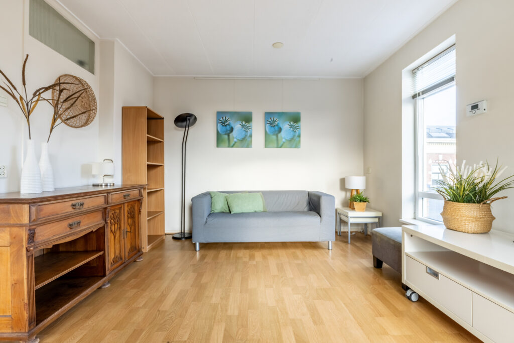 Bright, modern living room with couch and decor.