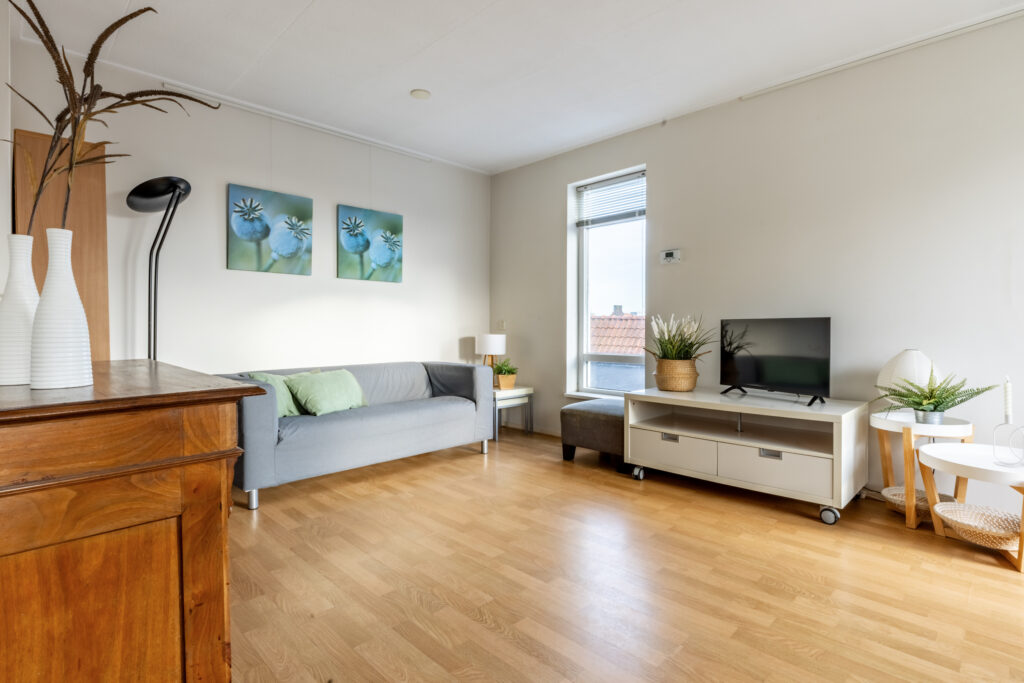 Modern living room with gray sofa and TV