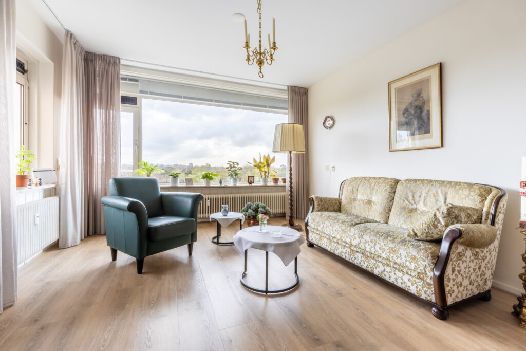 Bright living room with sofa and armchair
