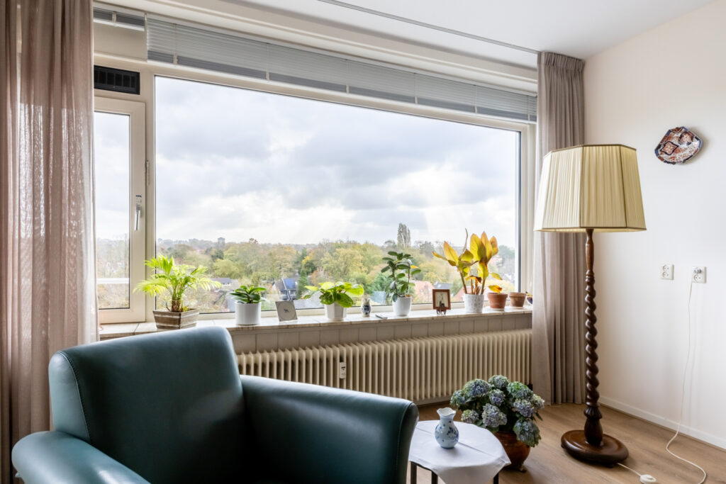 Bright living room with plants and large window view.